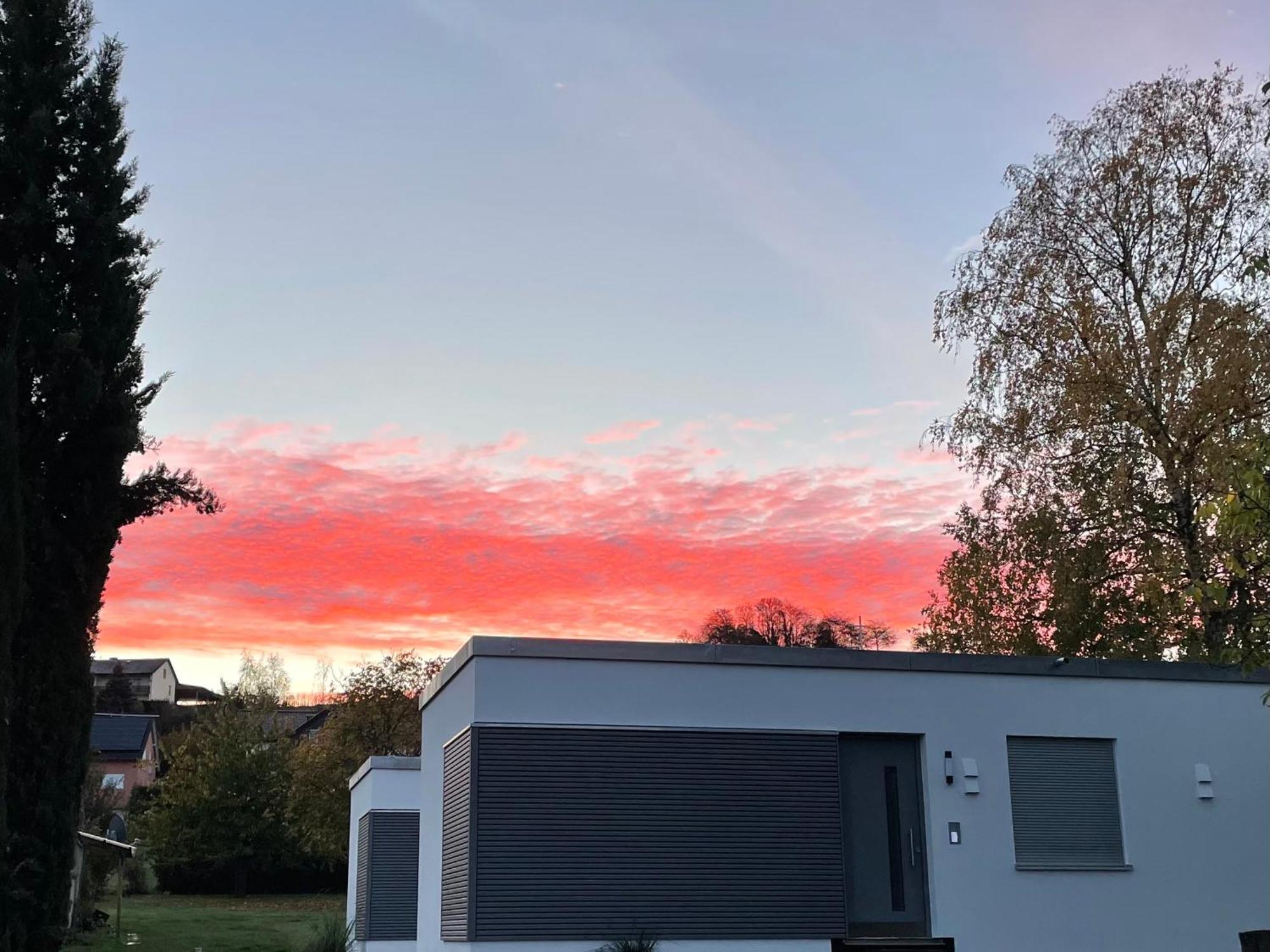Ferienbungalow Kampenheissji Wiltingen Exteriör bild