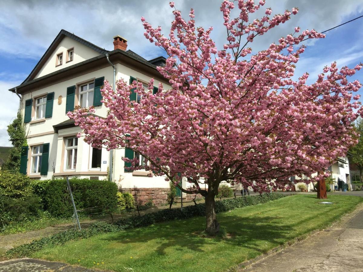 Ferienbungalow Kampenheissji Wiltingen Exteriör bild